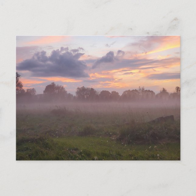 Foggy Michigan Sunset Postcard (Front)