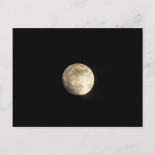 Foggy Moon Postcard