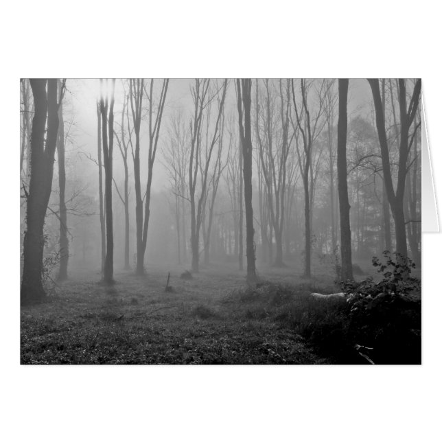 Foggy Morning (Front Horizontal)