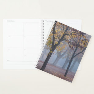 Foggy Morning in Cathedral park Planner