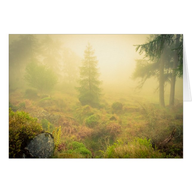 Foggy Morning in Wicklow Mountains (Front Horizontal)