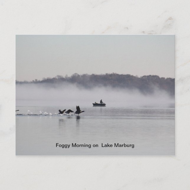 foggy morning on the lake postcard (Front)