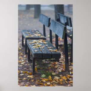 Foggy morning park bench, Germany Poster