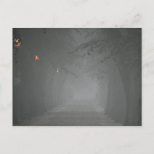 Foggy Morning Postcard