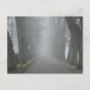 Foggy Morning  Postcard