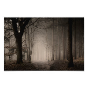 Foggy Morning Rushmere Country Park (0856) Poster