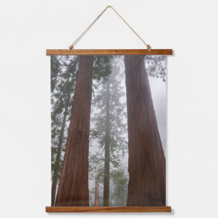Foggy Morning & Spring Snow Under Giant Sequoia Hanging Tapestry