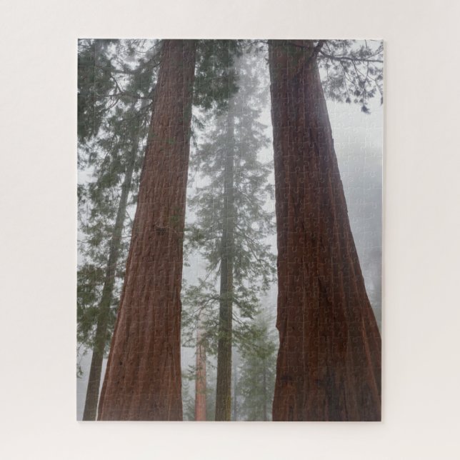 Foggy Morning & Spring Snow Under Giant Sequoia Jigsaw Puzzle (Vertical)
