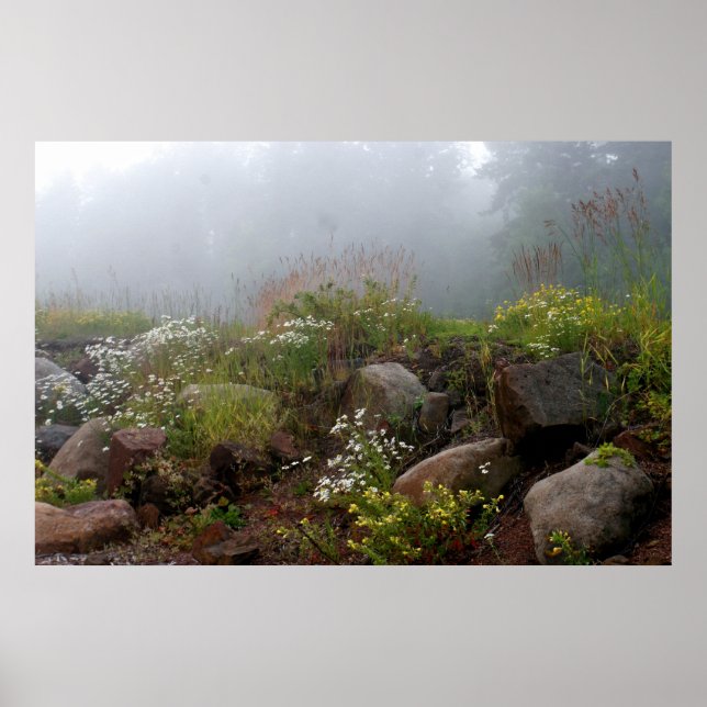 Foggy North Shore Poster (Front)