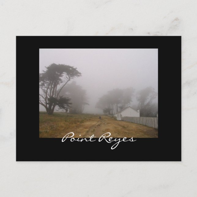 Foggy Point Reyes Postcard (Front)