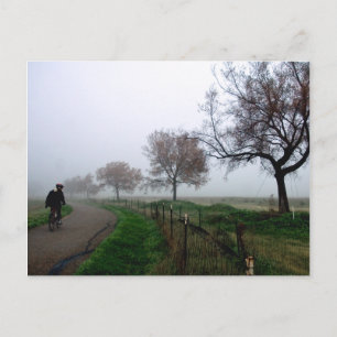 Foggy Rider Postcard