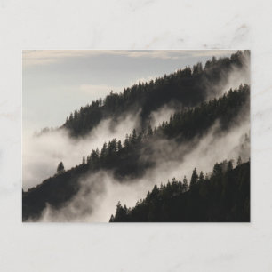 Foggy Rocky Mountains Colorado USA Adventure Postcard