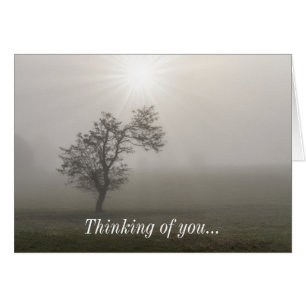 Foggy Starburst Tree Landscape Thinking Of U Card
