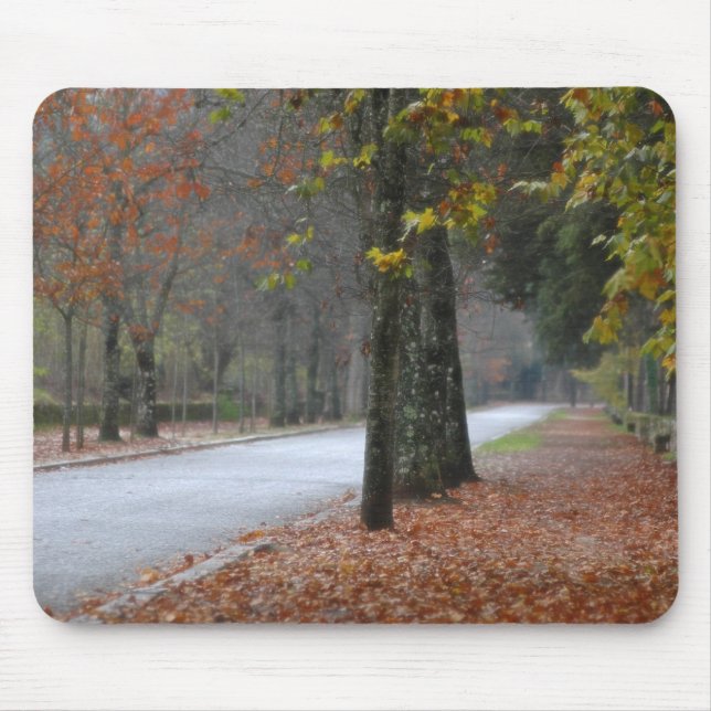 Foggy street mouse pad (Front)