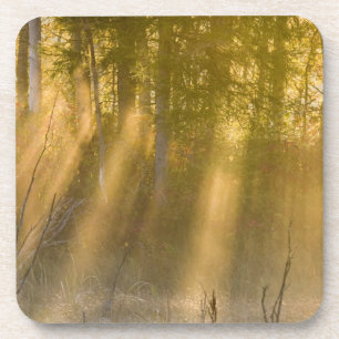 Foggy Sunrise at Tamarac NWR near Detroit Lakes Coaster