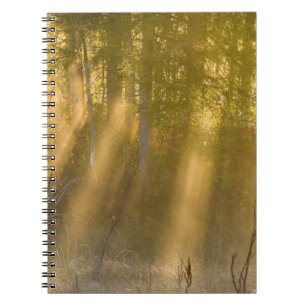 Foggy Sunrise at  Tamarac NWR near Detroit Lakes Notebook