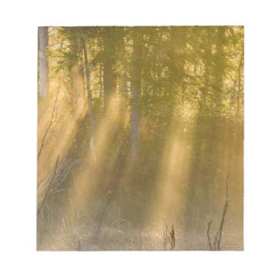 Foggy Sunrise at  Tamarac NWR near Detroit Lakes Notepad