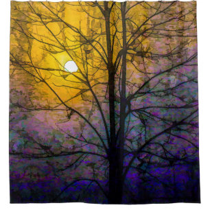 Foggy Sunset