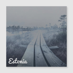 Foggy swamp landscape