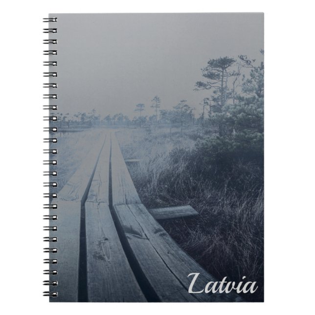 Foggy swamp landscape notebook (Front)
