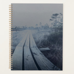 Foggy swamp landscape planner