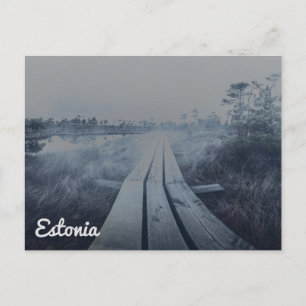 Foggy swamp landscape postcard
