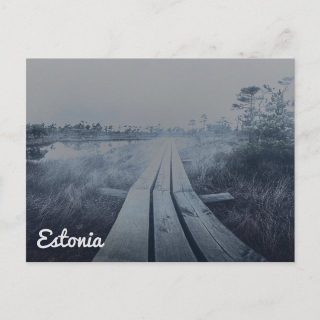 Foggy swamp landscape postcard (Front)