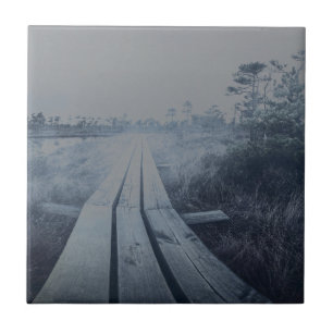 Foggy swamp landscape tile