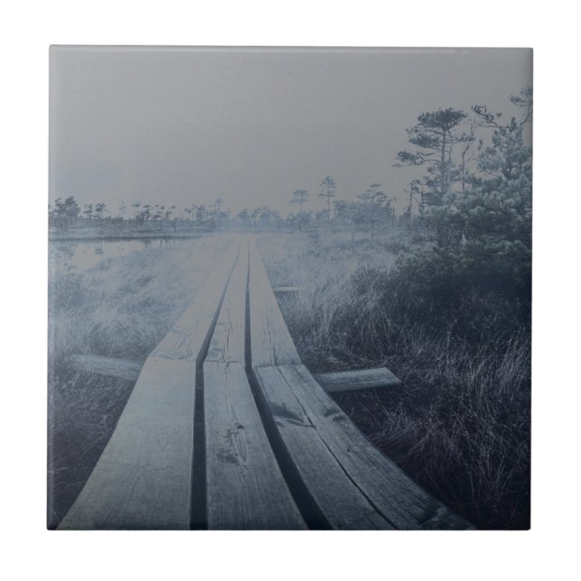 Foggy swamp landscape tile (Front)