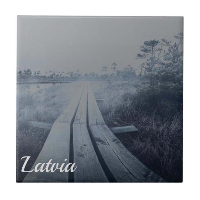 Foggy swamp landscape tile (Front)