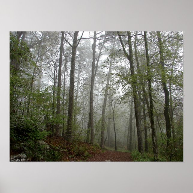 Foggy Trail in the Spring Forest Poster (Front)