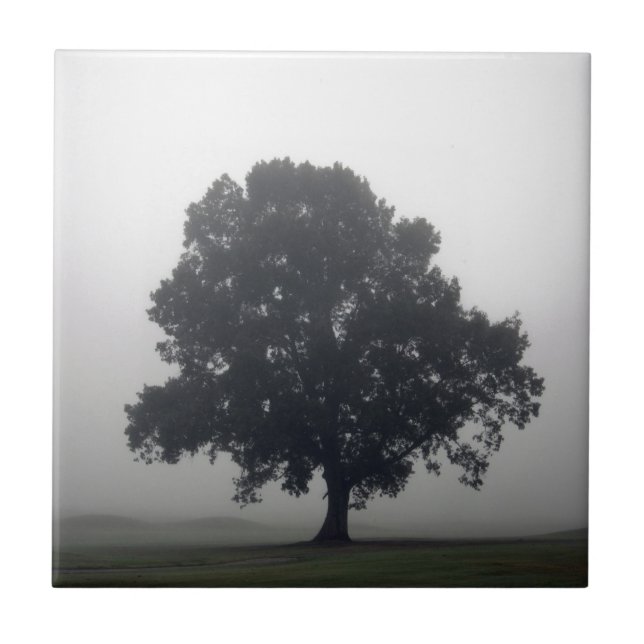 Foggy Tree Tile (Front)