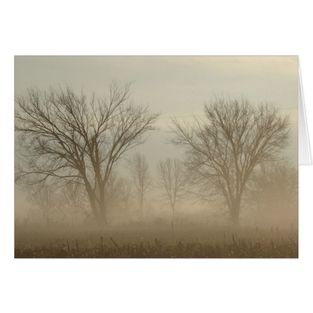Foggy Trees (Devant horizontal)