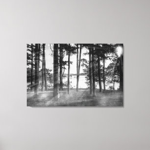 Foggy Trees At Table Rock Grayscale Canvas Print
