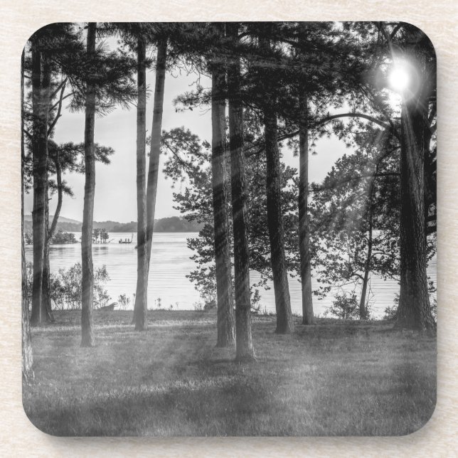 Foggy Trees At Table Rock Grayscale Coaster (Front)