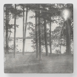 Foggy Trees At Table Rock Grayscale Stone Coaster