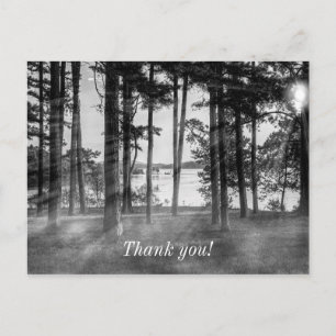 Foggy Trees At Table Rock Grayscale Thank You Postcard