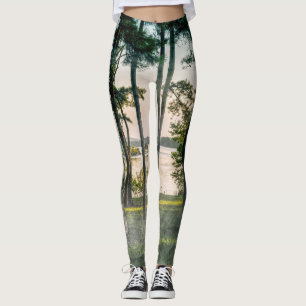 Foggy Trees At Table Rock Leggings