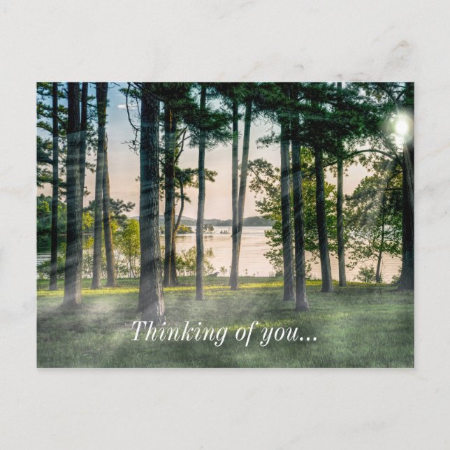 Foggy Trees At Table Rock Thinking Of You Postcard (Front)