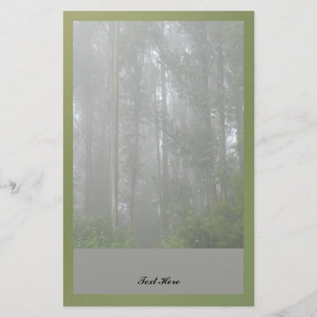 Foggy Trees Stationery (Front)