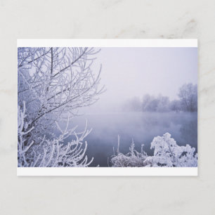 Foggy Winter Day by the River Postcard