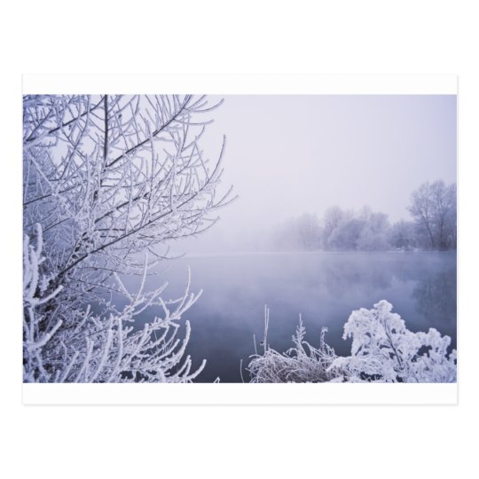 Foggy Winter Day by the River Postcard