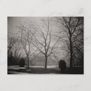 Foggy Winter Melting Snow Art Postcard