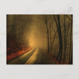 foggy wood postcard