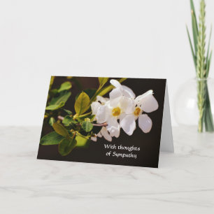 Foi Fleurs de fleurs blanches Carte de sympathie