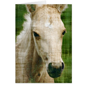 Foie Palomino
