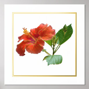 Foil Accent Red Hibiscus Flower Print