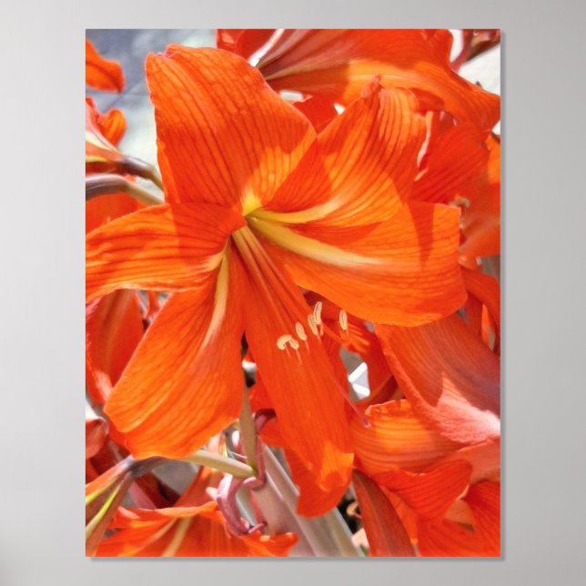 FOIL PRINT POSTER ART AND DESIGN  (Front)