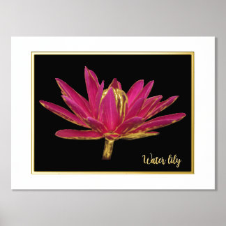 Foil Water Lily Print Poster