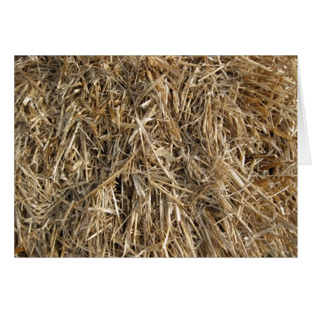 Foin ! Foin ! 2 (Devant horizontal)